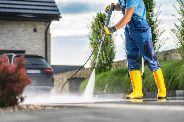 Best Animal Enclosure Cleaning  in Kalida, OH